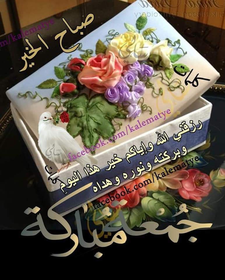 مريانا الخطيب tweet media