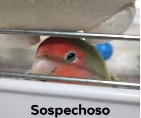 Cuando todo va bien en mi vida por más de tres días seguidos