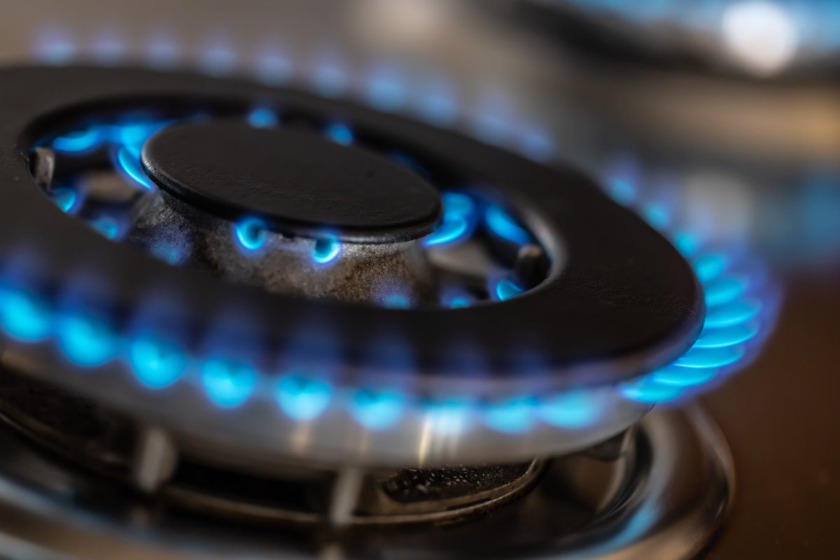 Fincapp's tweet photo. ¿Sabes que tienes que hacer para dar de alta el #gas en tu domicilio?

Te lo contamos todo 

https://t.co/mbuWb1AVbW

#altagas #Fincapp https://t.co/pHyubvXE6v