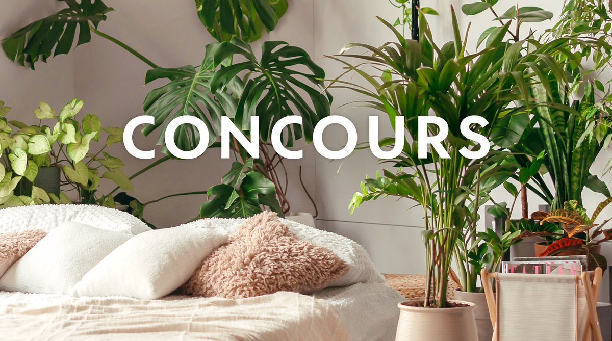 🪺#Concours
Envie de créer votre ambiance cocooning ? Tentez de remporter une carte cadeau de 100€ à dépenser en magasins pour constituer votre nid douillet 🎁
Pour jouer :
✨RT + Follow <a href="/Truffaut/">Truffaut</a>
Tirage au sort le 20/01 🤞