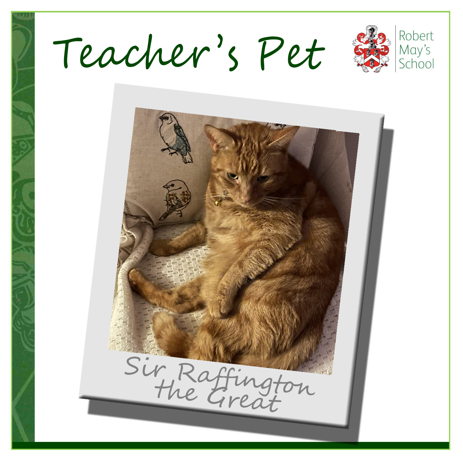 Robert May's School Official on Twitter "Each week we will be showing you a pet belonging to a