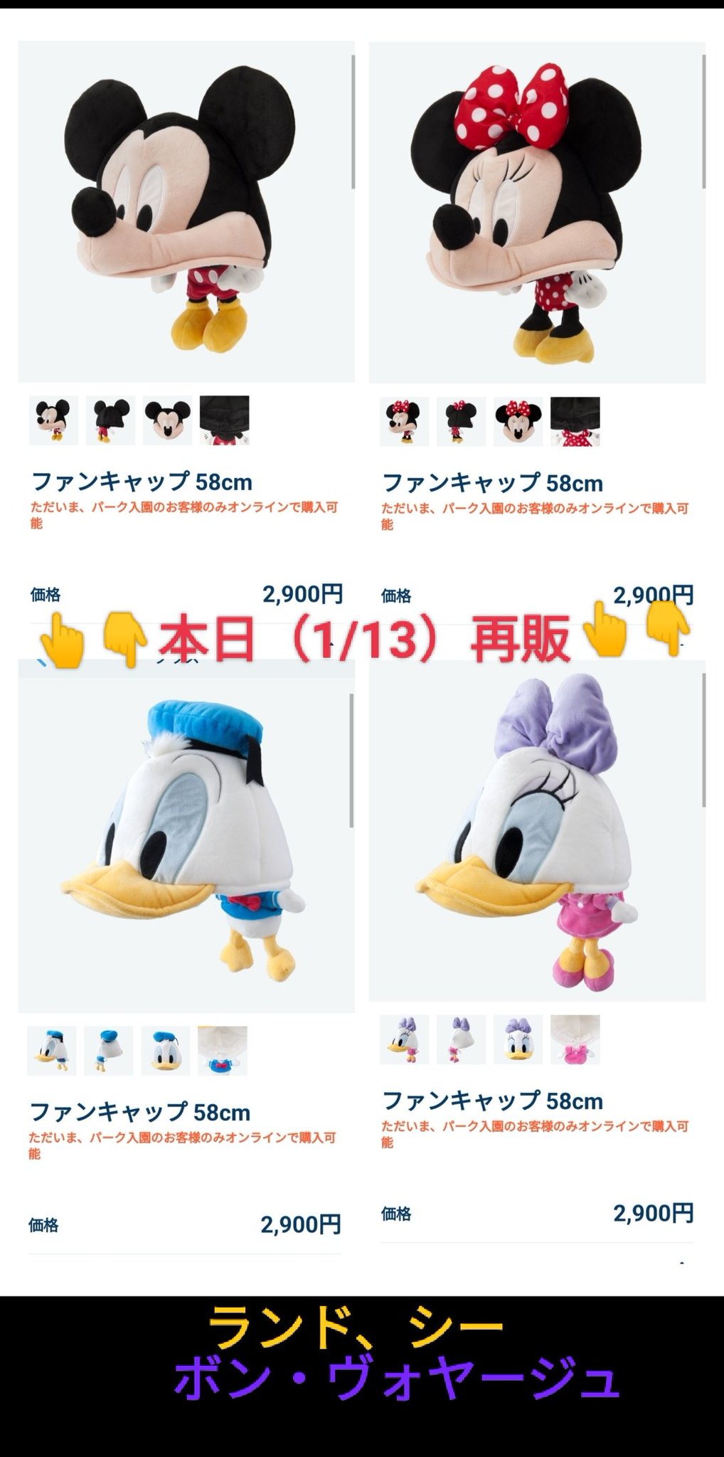 Disney チップ ファンキャップ 帽子 ディズニーリゾート限定