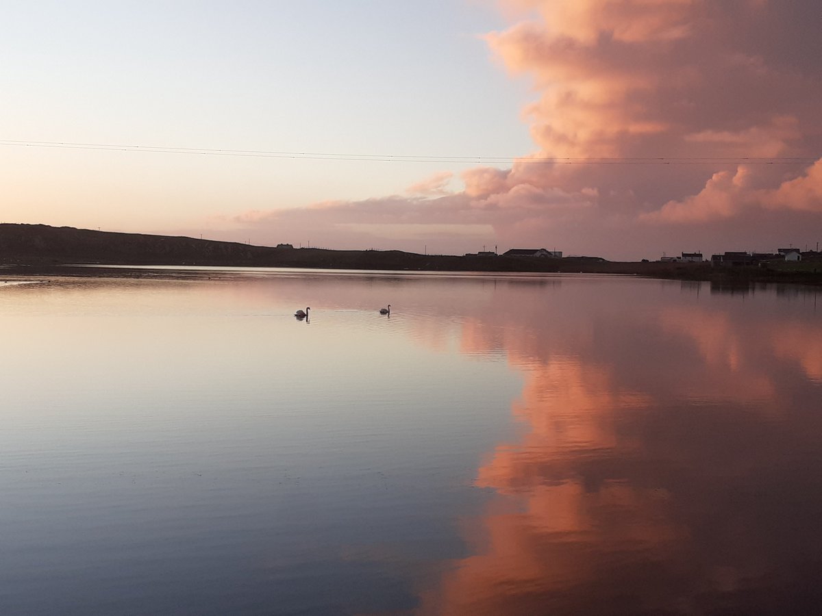 Inishbofin Island tweet media