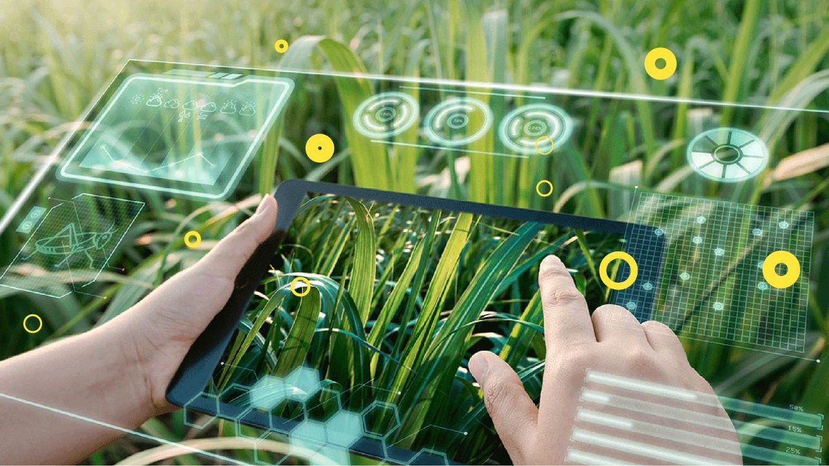 BBKnetwork's tweet photo. Hoy en BBK https://t.co/4djpzz8UGR te presentamos Agritech, la respuesta tecnológica para los desafíos del sector agroganadero y forestal de Euskadi.
 
👉Descubre todas sus ventajas: https://t.co/BeOHToLueg 
 
#bbknetwork #emprendimiento #innovación #tecnología #agricultura https://t.co/hQg2mgIMze