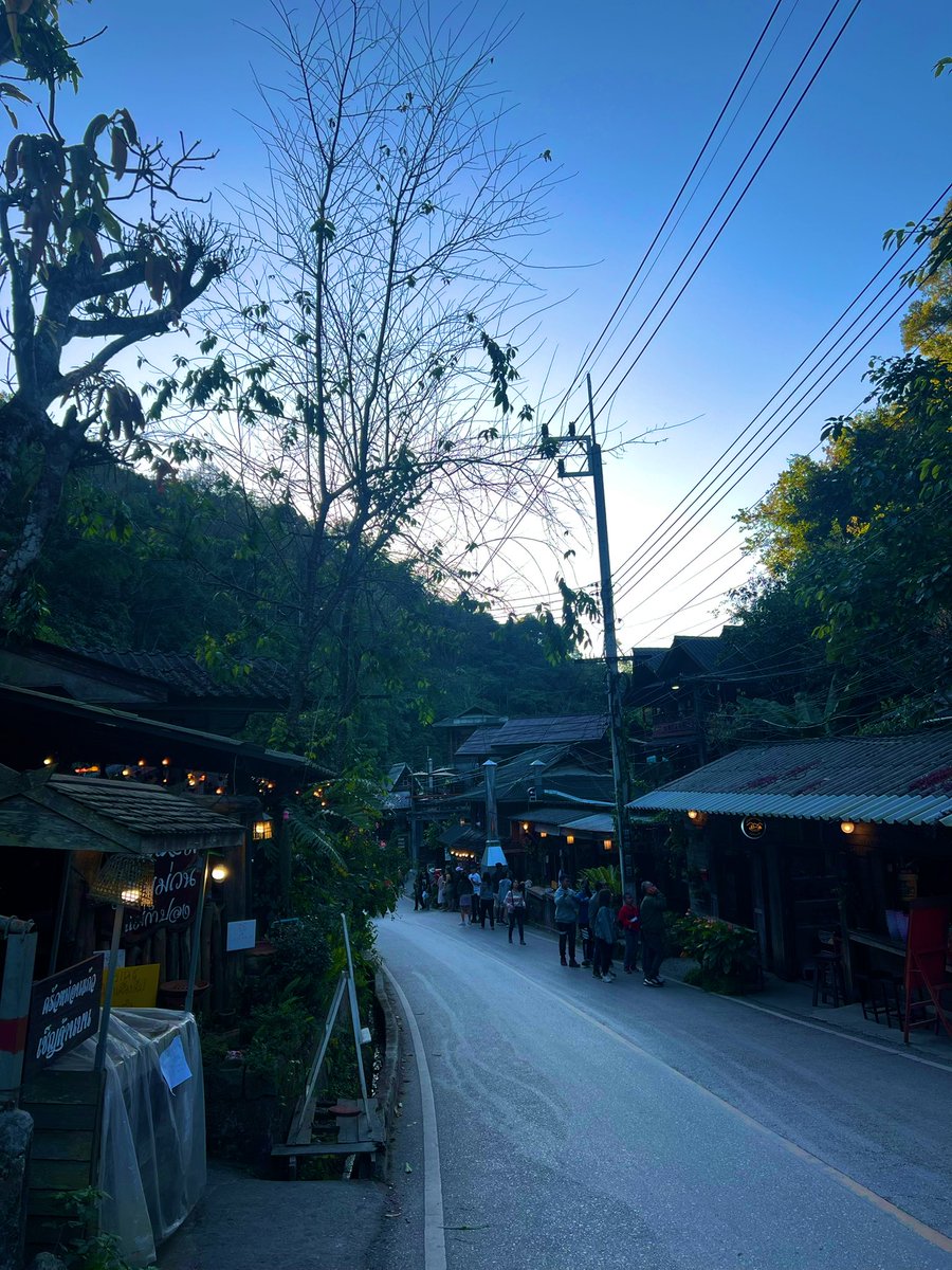 mewmew_meeowwww's tweet photo. Walking street… #happytrip https://t.co/shy2wmljz0