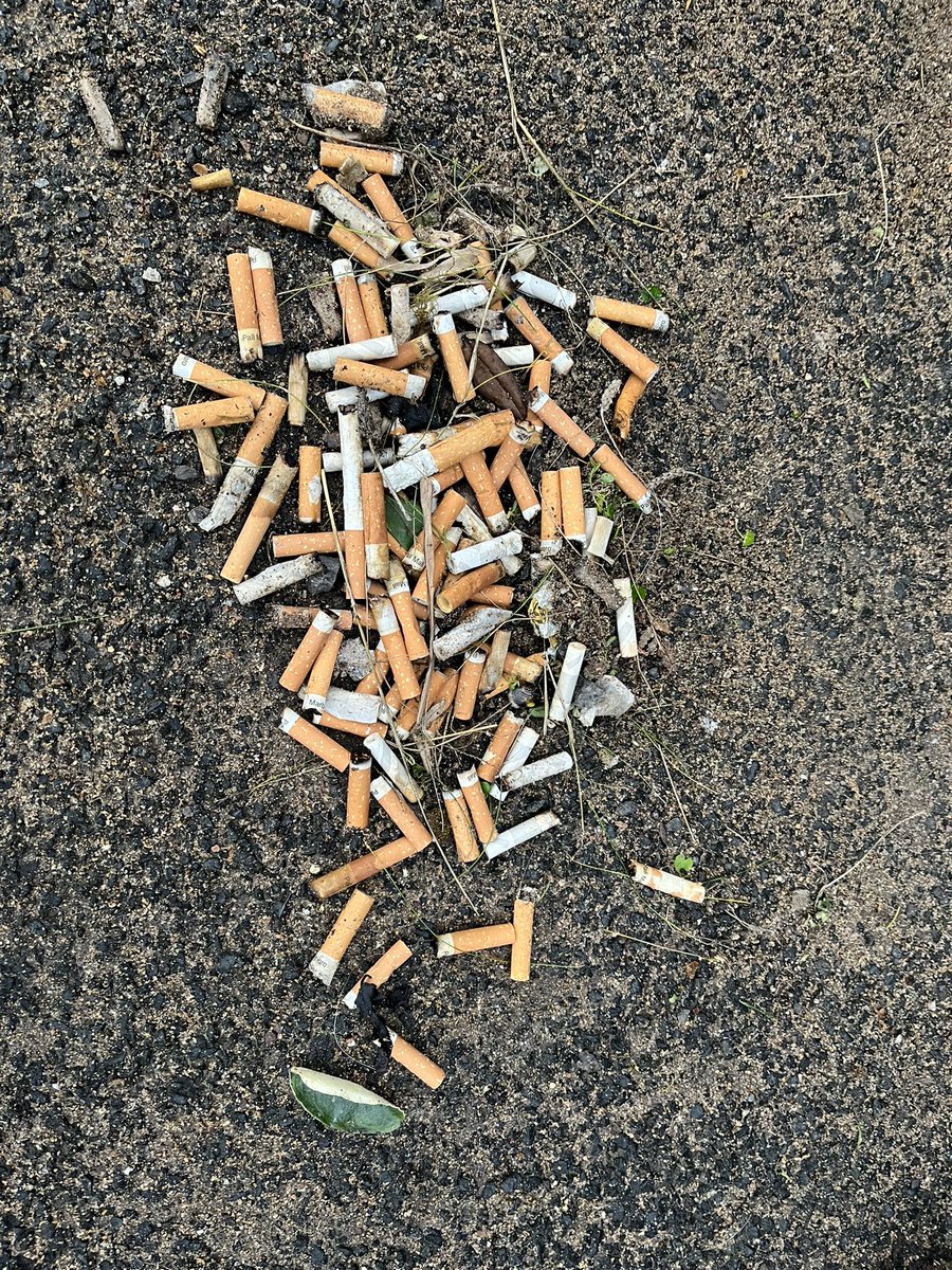 If you’re parking your “butt” on a memorial chair at the Auld Kirk on Anchor Green #NorthBerwick please take your cigarette “butts” away and dispose of appropriately - these are a huge source of #pollution to #marinewildlife and #marineenvironment & unsightly in our #community