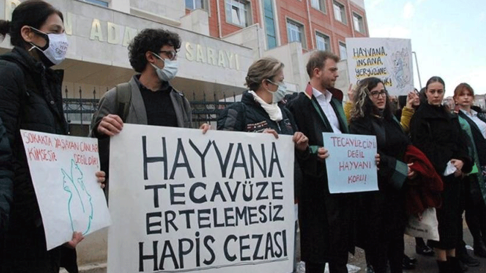 Kamusonhabergzt's tweet photo. Bu kadarına da pes! Yavru köpeğe cinsel istismarda bulundu
https://t.co/FHhA2P7tz6
#perşembe #EYTyiMecliseGetirin #ParamNerede #MeralAkşener #SatmıyorumUlan #12ocakisbırakıyoruz #SüresizNafaka #cinselistismar #BuBekletmeNeden #MemurlarAlanda #hayirlicumalar #AdanaAdliyesi https://t.co/X3pVQfpgDE