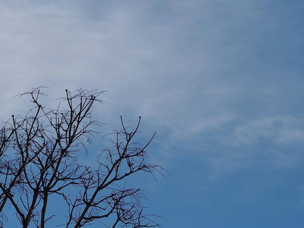 kikutaroid's tweet photo. 記録
#街歩き
#scene
#空 #skies
#冬 #winter #winterview
#樹木 #trees
#路傍 #roadside
#olympus #pen #pendigital #penepl8 #epl8
#microfourthirds #m43
#43_m43adapter
#fourthirds #43
#zuikodigital #zd50f2macro #singlefocuslens #aflens https://t.co/jxQB9QEIIr https://t.co/LmGU8lKIz5