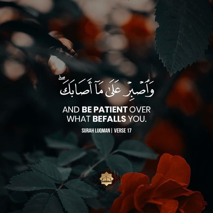QuranHadithGirl's tweet photo. https://t.co/XE0USXV1R3