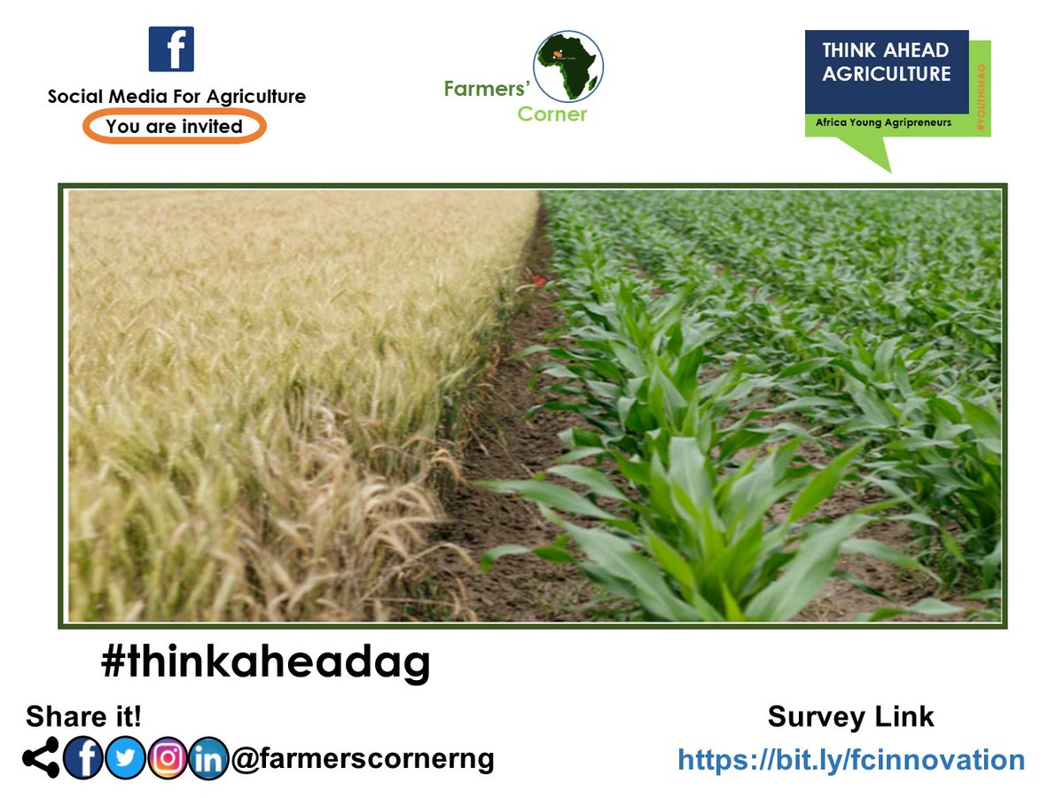 Farm produce or farm commodity, which one gives more income to farm operators?

Tag a friend. #farmproduce #farmcommodity #produce #commodity #agriculture #africa #traders #thinkaheadag #farmerscornerng
