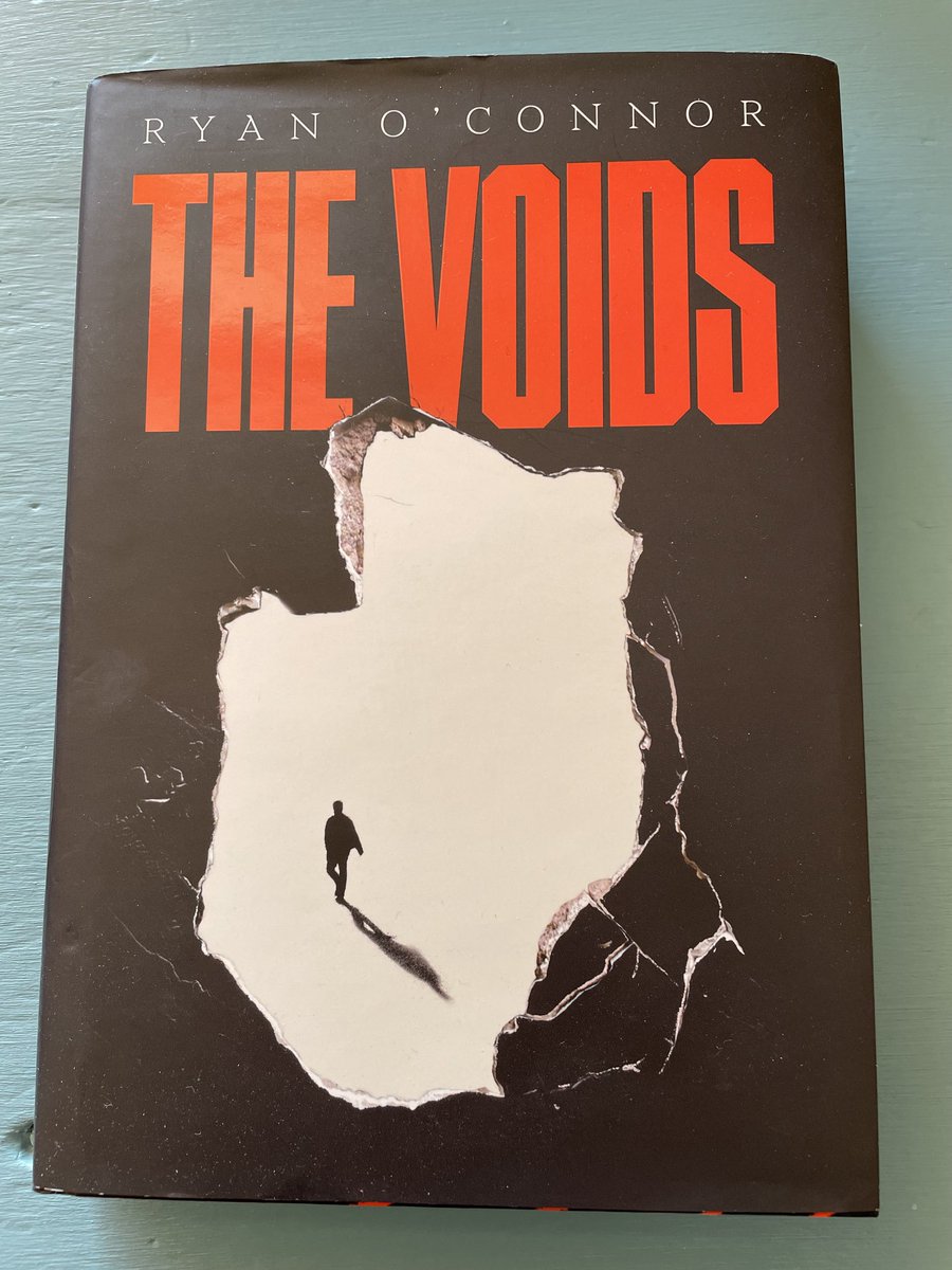 oharaviolin's tweet photo. A friend recommended The Voids by Ryan O’Connor. It’s excellent. I finished reading it a while ago & it’s still haunting me. These quotes ⬇️ describe it well. @WordsOConnor @ScribeUKbooks #TheVoids https://t.co/sffizgLNY9