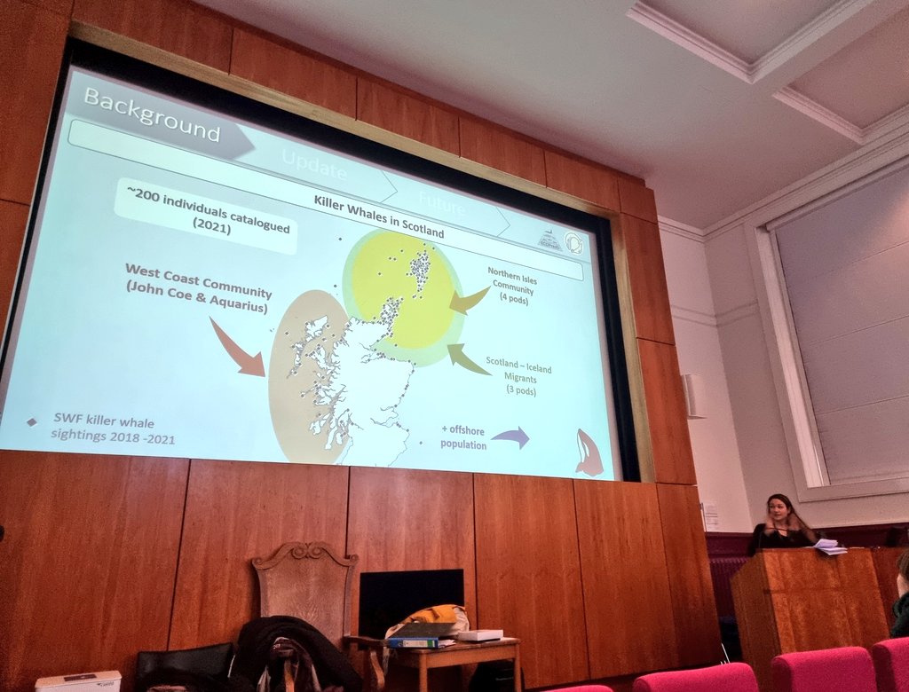 OnTheKWTrail's tweet photo. Fantastic talk from @jcqsutherland at the #UKIRSC23 conference sharing some work and preliminary findings of her PhD project with #ECOPredS, exploring killer whale predation on seals around Scotland ๐ณ๐ฆญ Good luck for the final field season and looking forward to the results! ๐ฅณ https://t.co/Y4jwaOF7Ro
