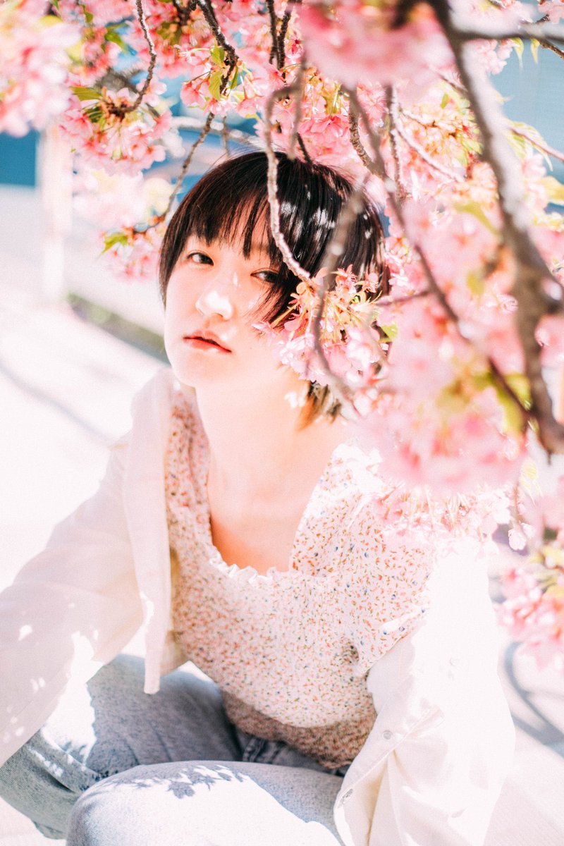 桜のシーズン（関東2月末〜3末）の土日は個人依頼の予約が混み合いますのでお早めのご予約お願い致します！ロケ希望の方は周りに人が少ない平日がオススメです🌸
