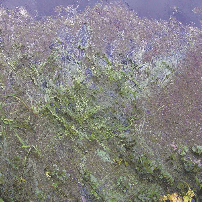 AZ51Gallery's tweet photo. les Empreintes Végétales de Michel Coste sont une superposition de différents éléments photographiés par l’artiste lui même. D’éléments figuratifs, Michel Coste en fait une œuvre abstraite issue de son imaginaire. 

#abstrait #art #photography #painting #peinture #artoftheday https://t.co/XzJZaF8Aj0