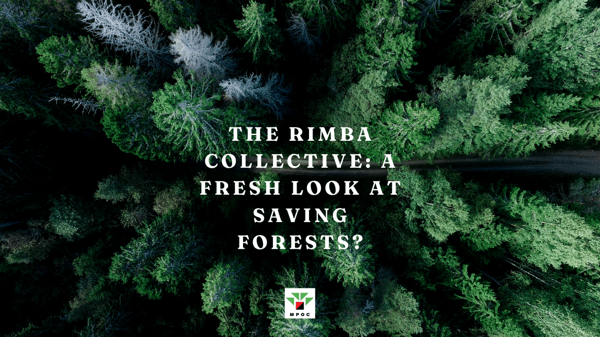 Read here: mpoc.org.my/the-rimba-coll…