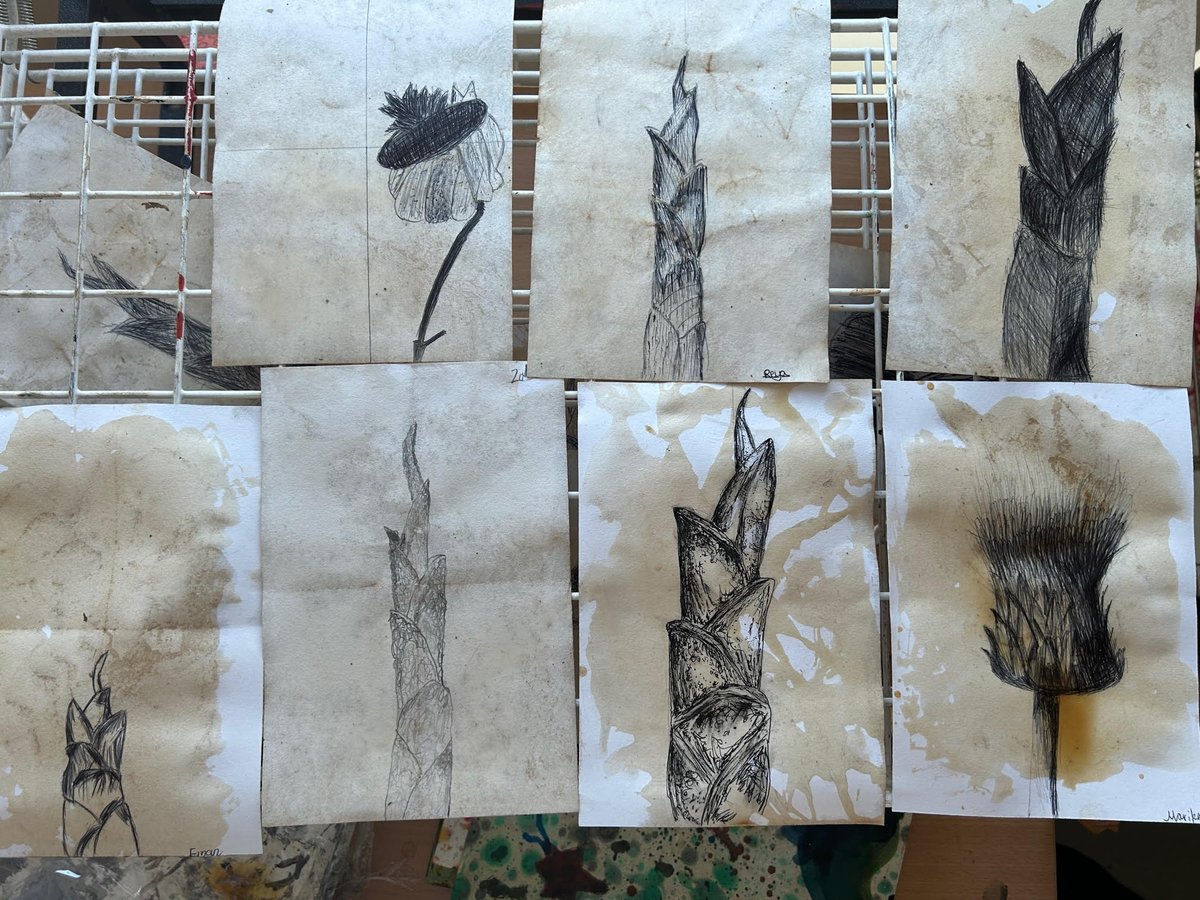 hhs_arts's tweet photo. Look at these beautifully detailed ink and pen studies sitting on our drying rack! Well done Year 7, what a SUCCESS! @HHSHaringey https://t.co/l6nC4o1ovI