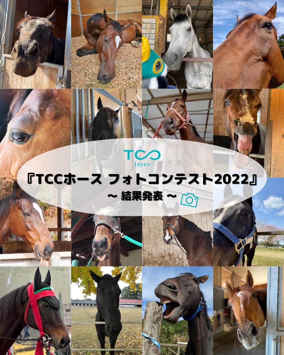 昨日フォトコン結果のメールが
来ました🐴
ドキドキしながら今日見てみたら
【ベストショット賞】いただきました❣️
ゼンカ🐴やったね💕
新グッズ楽しみにしています😆
#TCCJapan
#TCCホース
#ゼンカ
#TCCフォトコン