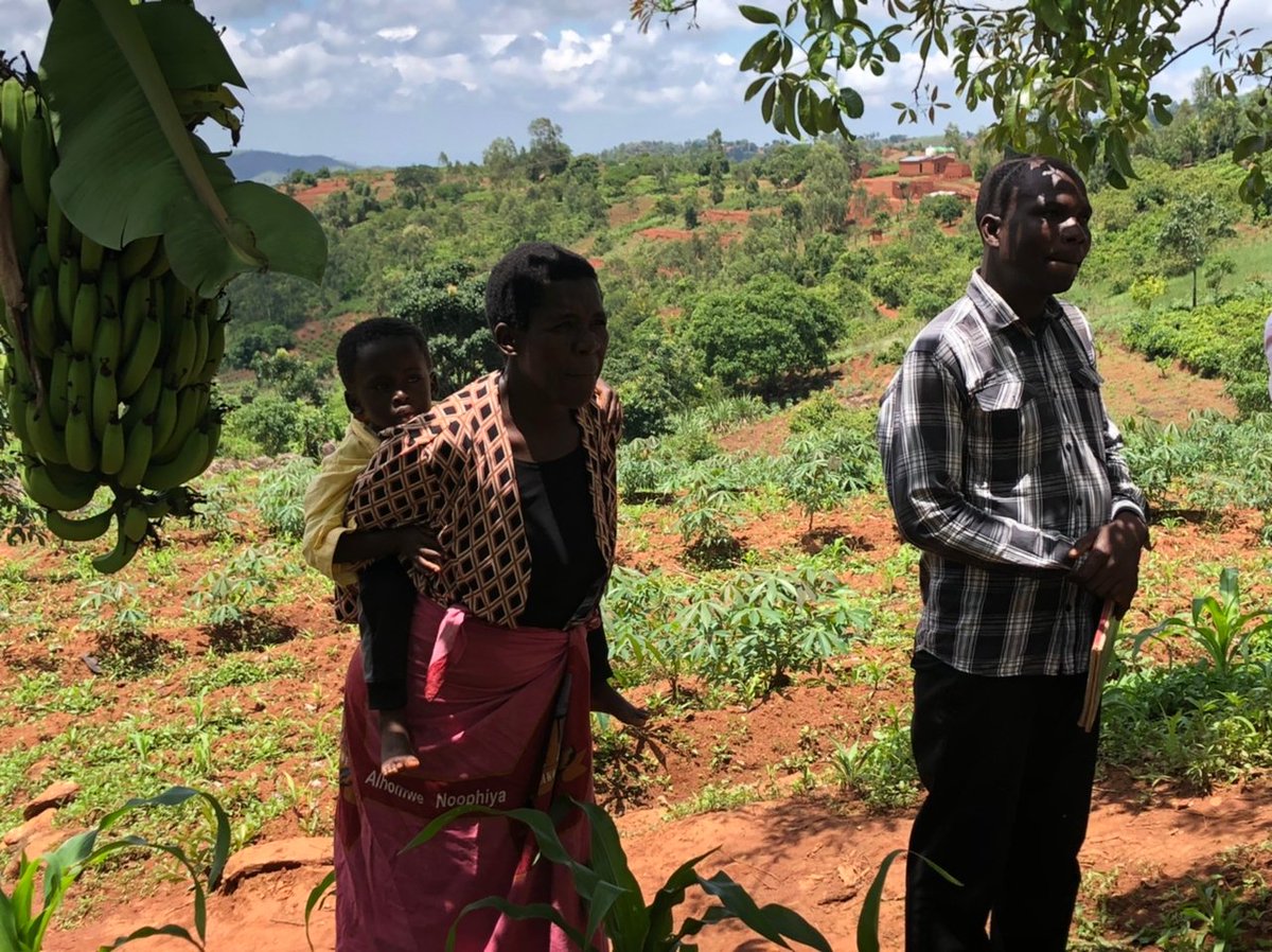 AswapSpii's tweet photo. "It is possible to defeat hunger and poverty, just work hard”, says Henderson Kopolande who is now making MK775,000 a month from banana seles.

@USAIDMalawi @EUinMalawi @IrlEmbMalawi @moaiwd1 @Flanders_DFA @unwomenmalawi https://t.co/Mdp2WwejAD