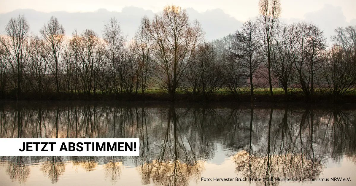 Deutschlands schönster Wanderweg 2023 wird gesucht und #DeinNRW ist mit drei Nominierungen vertreten 😊. Also jetzt abstimmen! 👉 buff.ly/3G3pfgg #Tourismus