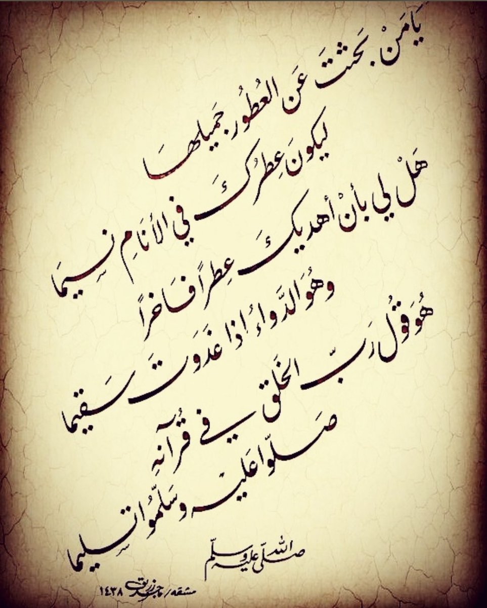 alfaars9's tweet photo. https://t.co/u6hBnoekPI
