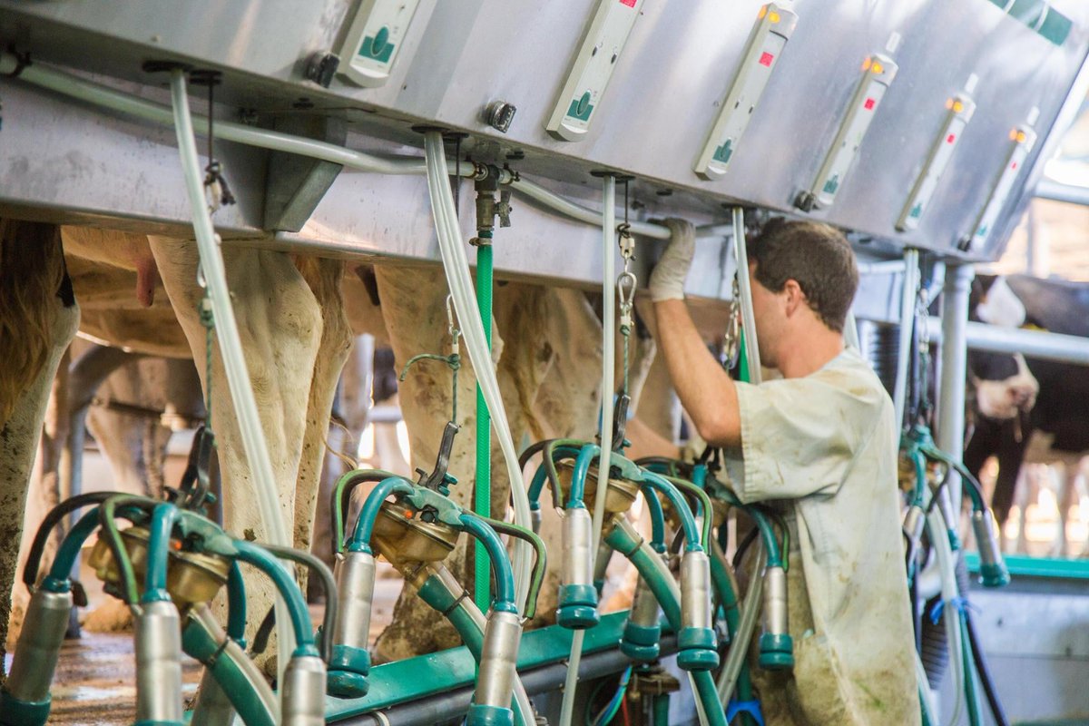 Creamos futuro aquí.

Desde lo nuestro.

#SRL