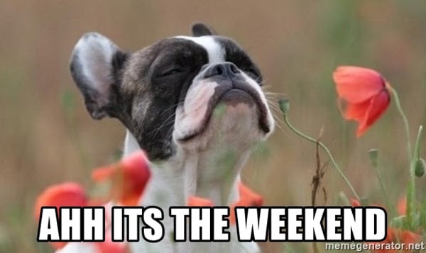Hmm, love it!

#weekend #memes #friyay #tgif #newyear