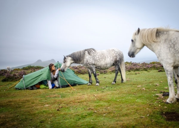 Team_BMC's tweet photo. It's a huge blow for the BMC and the outdoor community😠

The BMC will support @dartmoornpa, help defend our rights of access, and work alongside other like-minded organisations to try to overturn this result. 

Find out more here: https://t.co/UB3xTDNlMx https://t.co/TZNJv5mMkc