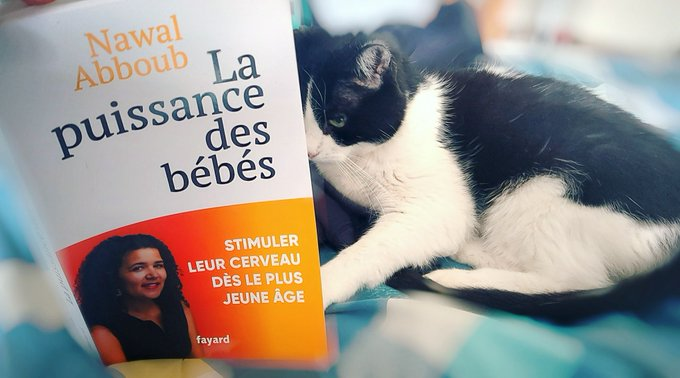 🧠👶Je vous conseille un super livre sur les cerveaux des touts petits pour ce #VendrediLecture : La puissance des bébés par <a href="/NawalAbboub/">Nawal Abboub</a> chez <a href="/EditionsFayard/">Fayard</a>. 
Vous ne verrez plus les bébés de la même façon !

Depuis qu'on l'a reçu, Plume est à fond !

fayard.fr/documents-temo…