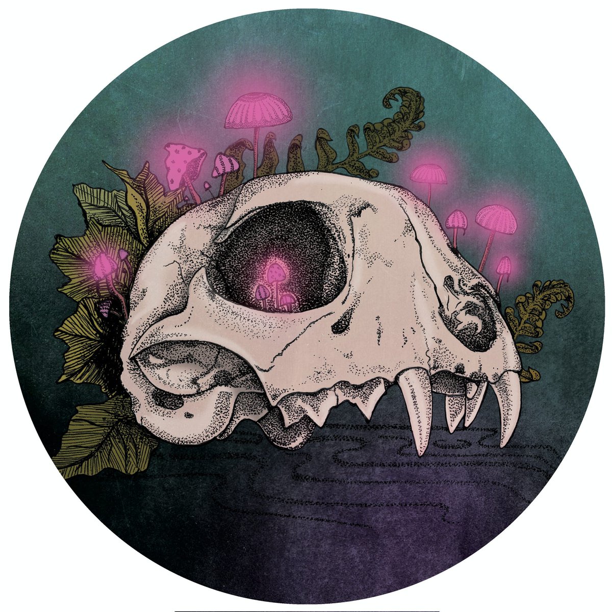 thewycht's tweet photo. Beauty and decay #decay #dotwork #penandink #illustration https://t.co/TUTgnGsn4W