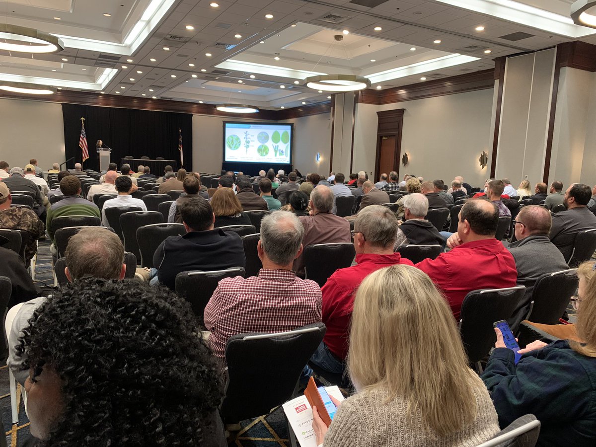 NC State Soybean Extension (@ncstatesoybeans) on Twitter photo Great job by <a href="/NCSU_DEPP/">NCSU Entomology & Plant Pathology</a> graduate student <a href="/ThayPossebom/">Taynara Possebom</a> for doing an excellent job presenting her <a href="/ncsoybeans/">NC Soybean Producers Association</a> funded work with <a href="/DominicDReisig/">Dominic Reisig</a> on corn earworm management differences between indeterminate and determinate varieties at the NC Commodity Conference #ThinkandDo Great job by <a href="/NCSU_DEPP/">NCSU Entomology & Plant Pathology</a> graduate student <a href="/ThayPossebom/">Taynara Possebom</a> for doing an excellent job presenting her <a href="/ncsoybeans/">NC Soybean Producers Association</a> funded work with <a href="/DominicDReisig/">Dominic Reisig</a> on corn earworm management differences between indeterminate and determinate varieties at the NC Commodity Conference #ThinkandDo