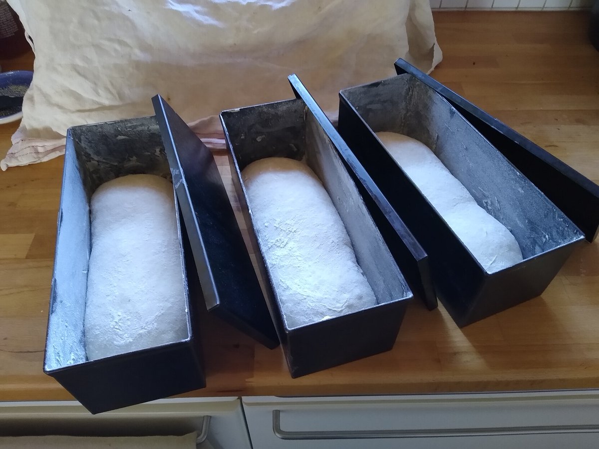 Marco - @magomi@chaos.social tweet media