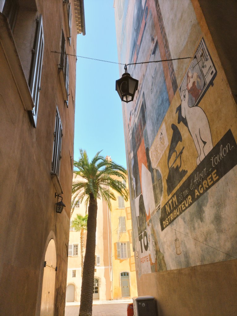 RobyPvn's tweet photo. Rue du noyer, #Toulon https://t.co/TYCEXcZPGb