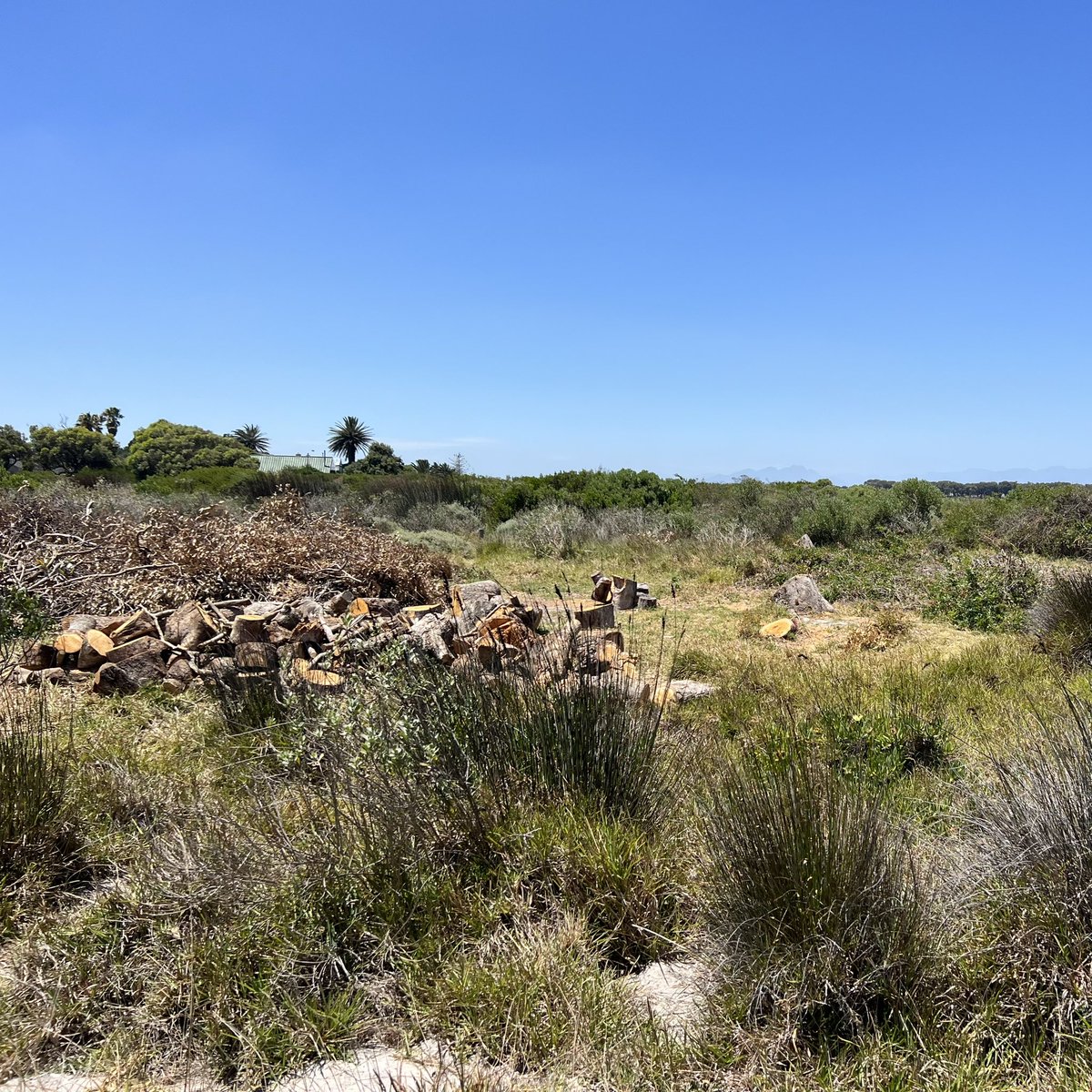 alexlansdowne tweet media