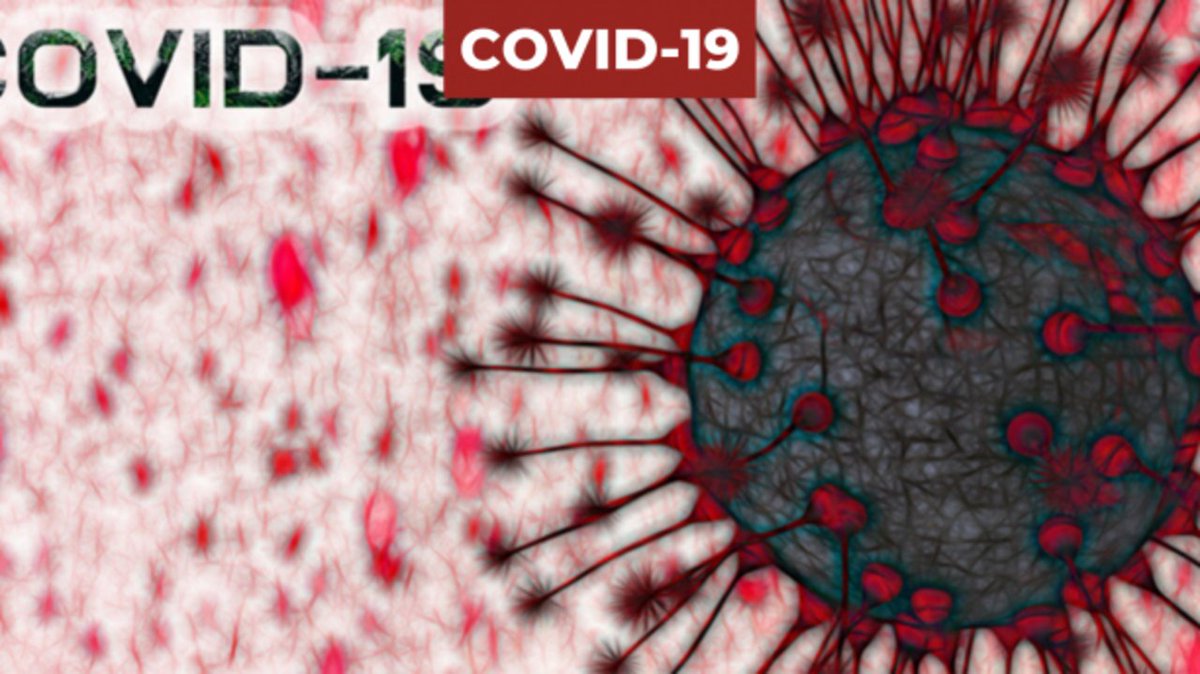 RFI 華語 - 法國國際廣播電台 tweet media