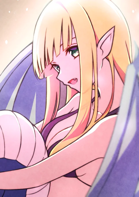 ECHIDNA 