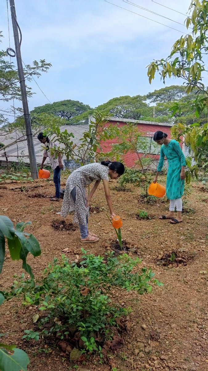 nssskcgvr's tweet photo. Today Gardening at #nssgarden  @NSSRDChandigarh @rdnss_kolkata @NSSRDPATNA @nssgujarat @nss_rdguwahati @NSSRDLucknow @MaharashtraNSS @NssrdD @nssrdhyderbad @KarnatakaNss @NssRajasthan @nsstvm @NSSChennai @nssrdbangalore @YASMinistry @_NSSIndia @pankajsinghips @HimachalNss https://t.co/1DTievnBT9