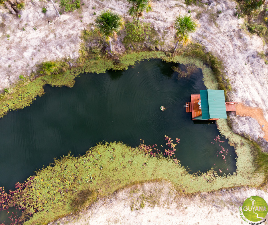 discoverguyana's tweet photo. This is a perfect spot for a private dip! 🏊

📸 WaikinRanch

#Swimming #DiscoverGuyana #ExploreGuyana https://t.co/d6ng7pnBQ5