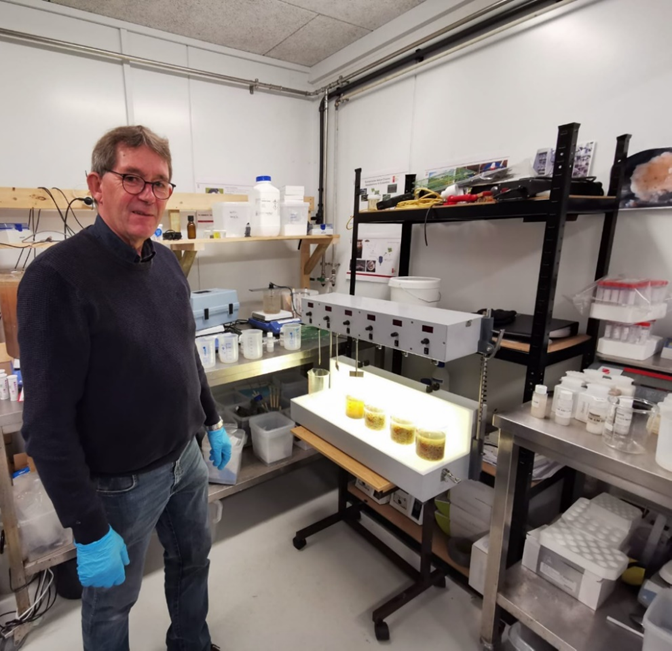 MariGre04385907's tweet photo. Ivan Livano and Peer Vind Mortensen from #Alumichem went to #DTUAqua to share their experience with organic coagulants and flocculants. We applied them to sea water and fresh water sludges to obtain a clean disposable water.
#MARIGREEN #collaboration #bluebioeconomy #bluebio #HCB https://t.co/JD5xIJSo1Q