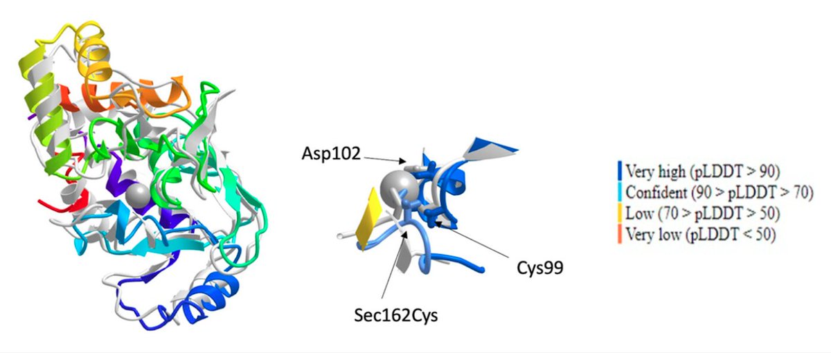 George O'Toole (he/him/his) tweet media
