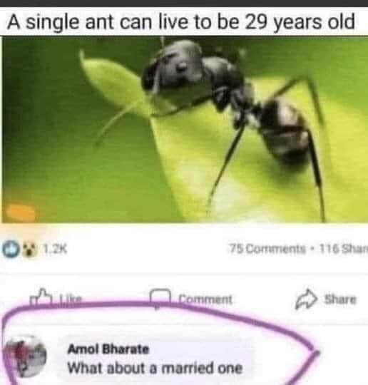 Does anyone know the answer to this? 🤔🤔