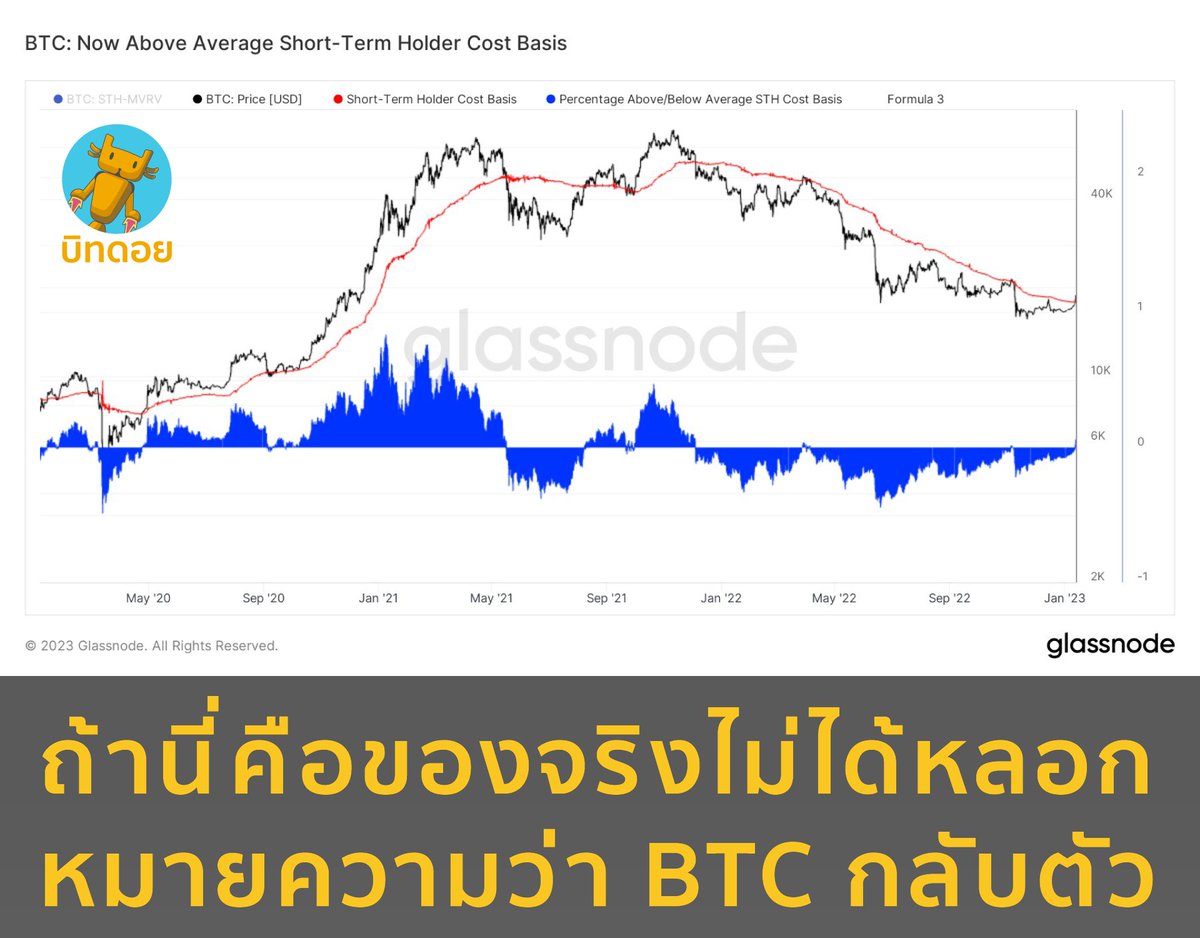 บิทดอย - Bitdroid tweet media