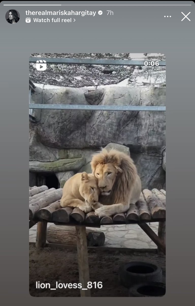 joyfulchaos7's tweet image. Ma’am you are LOUD and we love it. #creatingchaos #eoisendgame 🥹❤️