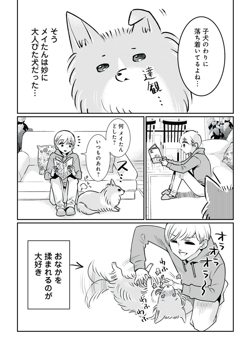 いきなり愛犬が余命宣告された話。
#漫画が読めるハッシュタグ(1/8) 