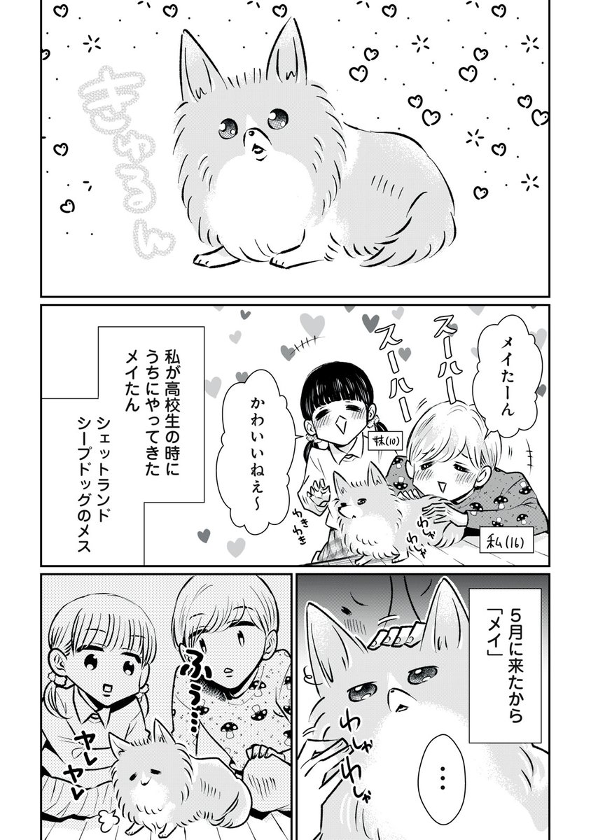 いきなり愛犬が余命宣告された話。
#漫画が読めるハッシュタグ(1/8) 