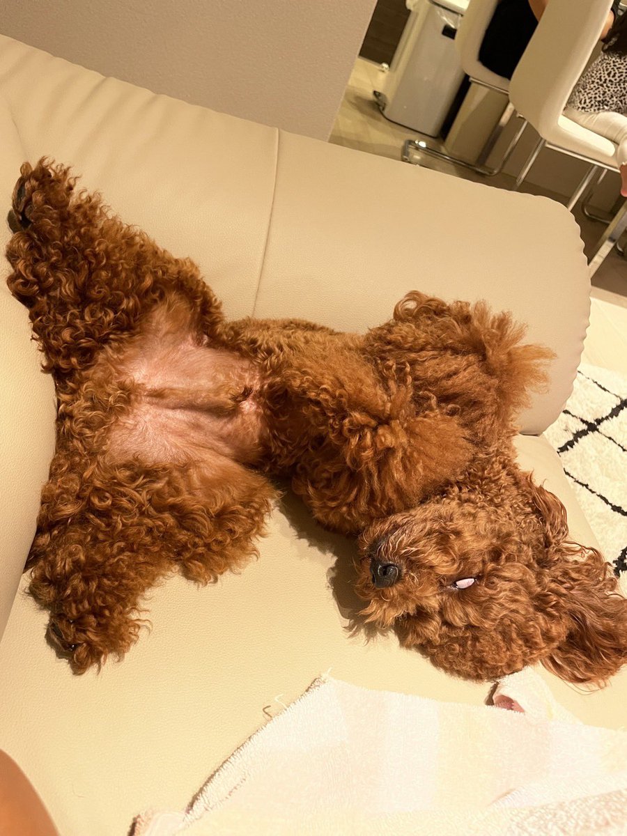 RIRU0227_'s tweet photo. #写真で一言 https://t.co/xUv0kM6OJL