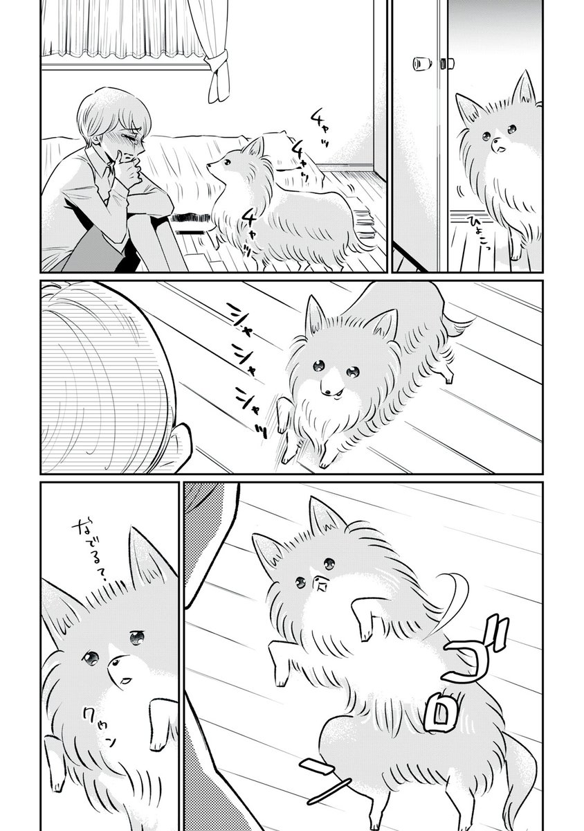 いきなり愛犬が余命宣告された話。
#漫画が読めるハッシュタグ(2/8) 