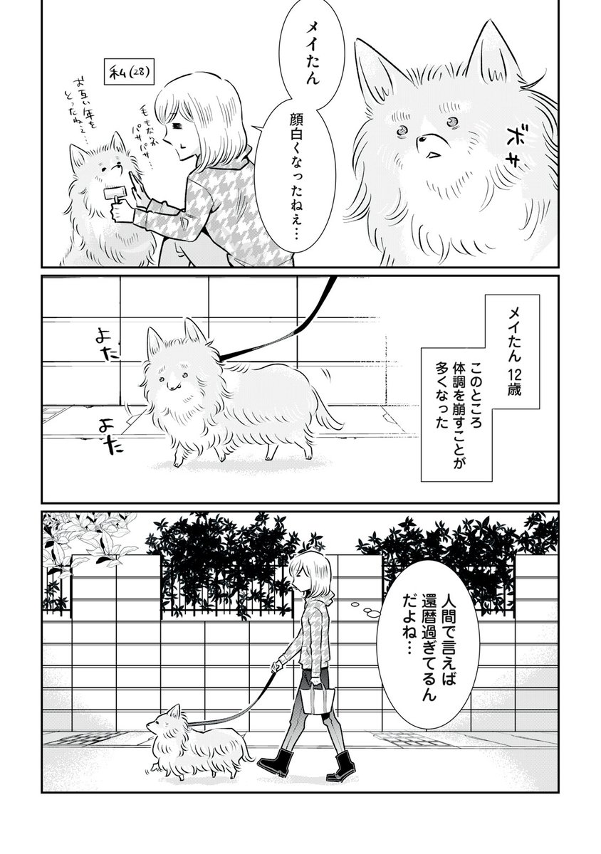 いきなり愛犬が余命宣告された話。
#漫画が読めるハッシュタグ(4/8) 