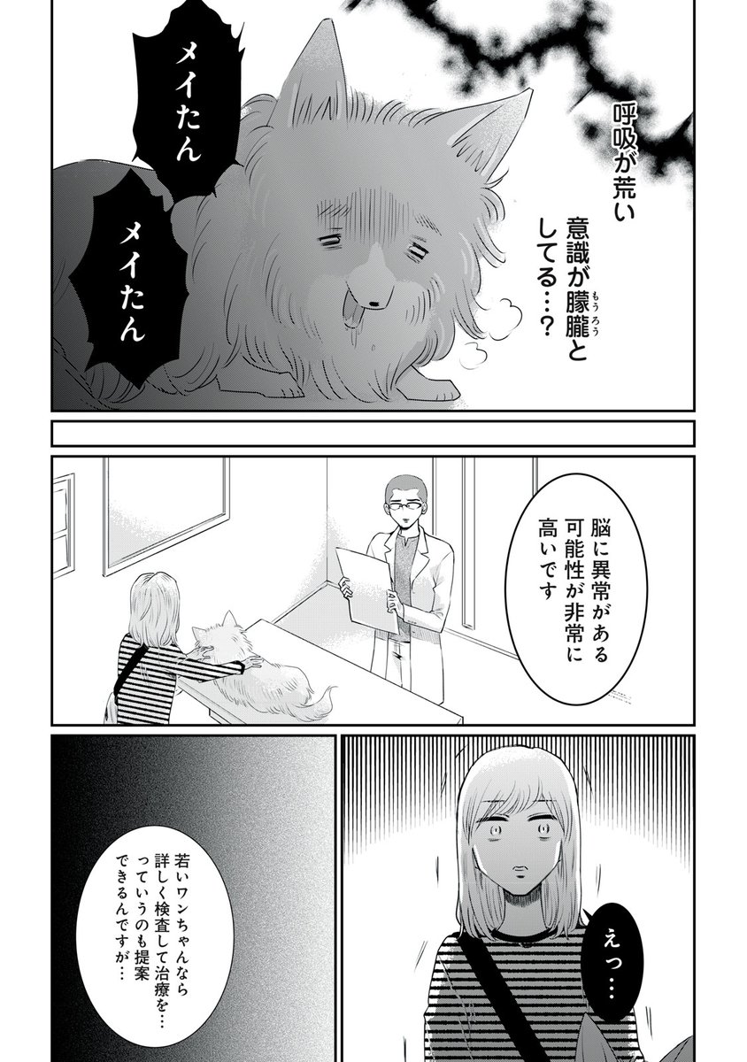 いきなり愛犬が余命宣告された話。
#漫画が読めるハッシュタグ(4/8) 