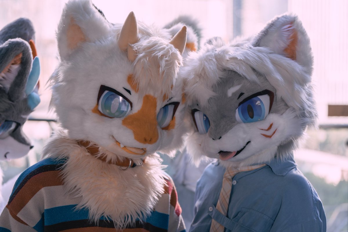 kukuGummyShark's tweet photo. #FursuitFriday 
盯——
📷：Leo https://t.co/7OHQuXZ85q