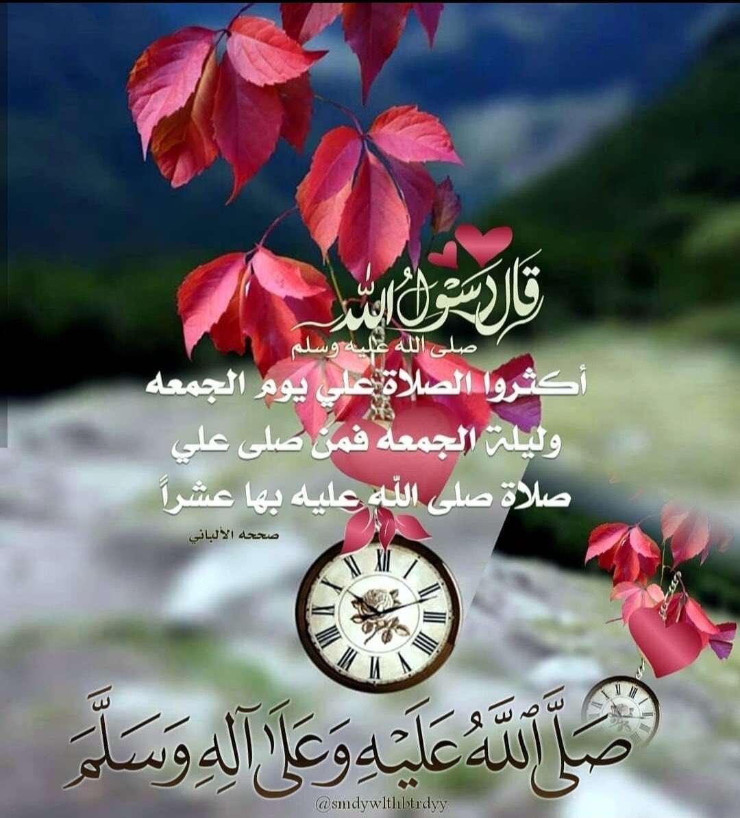 مـ💚̨̥̬̩ملكية نخبويه 💚  tweet media